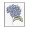 Stupell Industries Hydrangea Sketch Blossom Framed Giclee, design by Cecilia Battaini